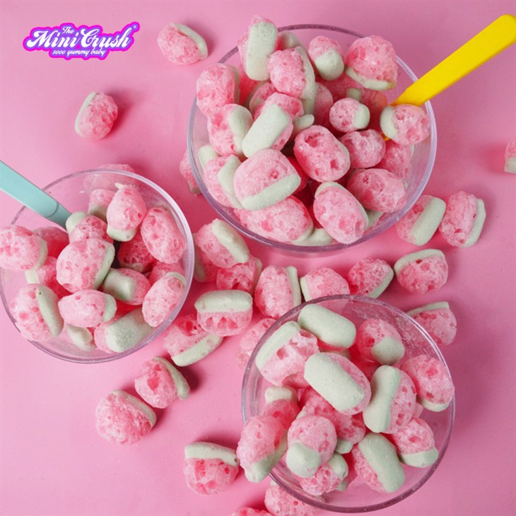 Freeze Dried Crunchy Watermelon (Natural Color) suppliers