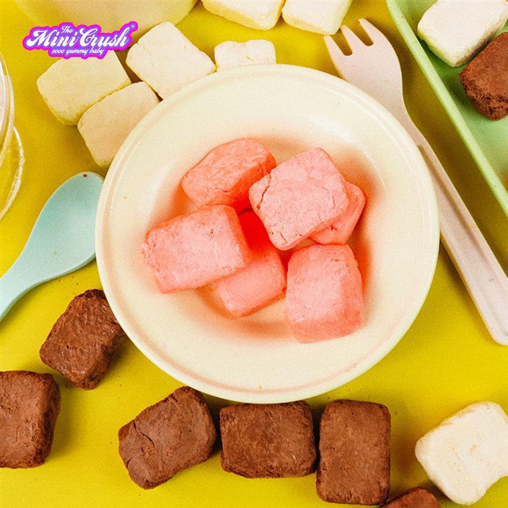 Freeze-Dried Strawberry Ice Cream suppliers